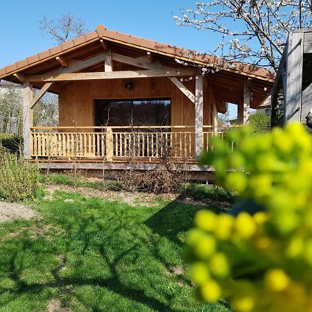 La Cabane Du Jardin Bongheat Esterno foto
