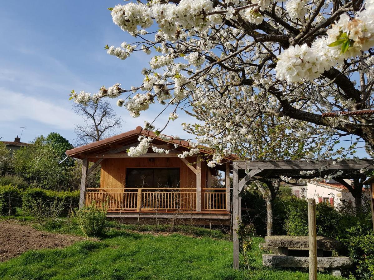 La Cabane Du Jardin Bongheat Esterno foto